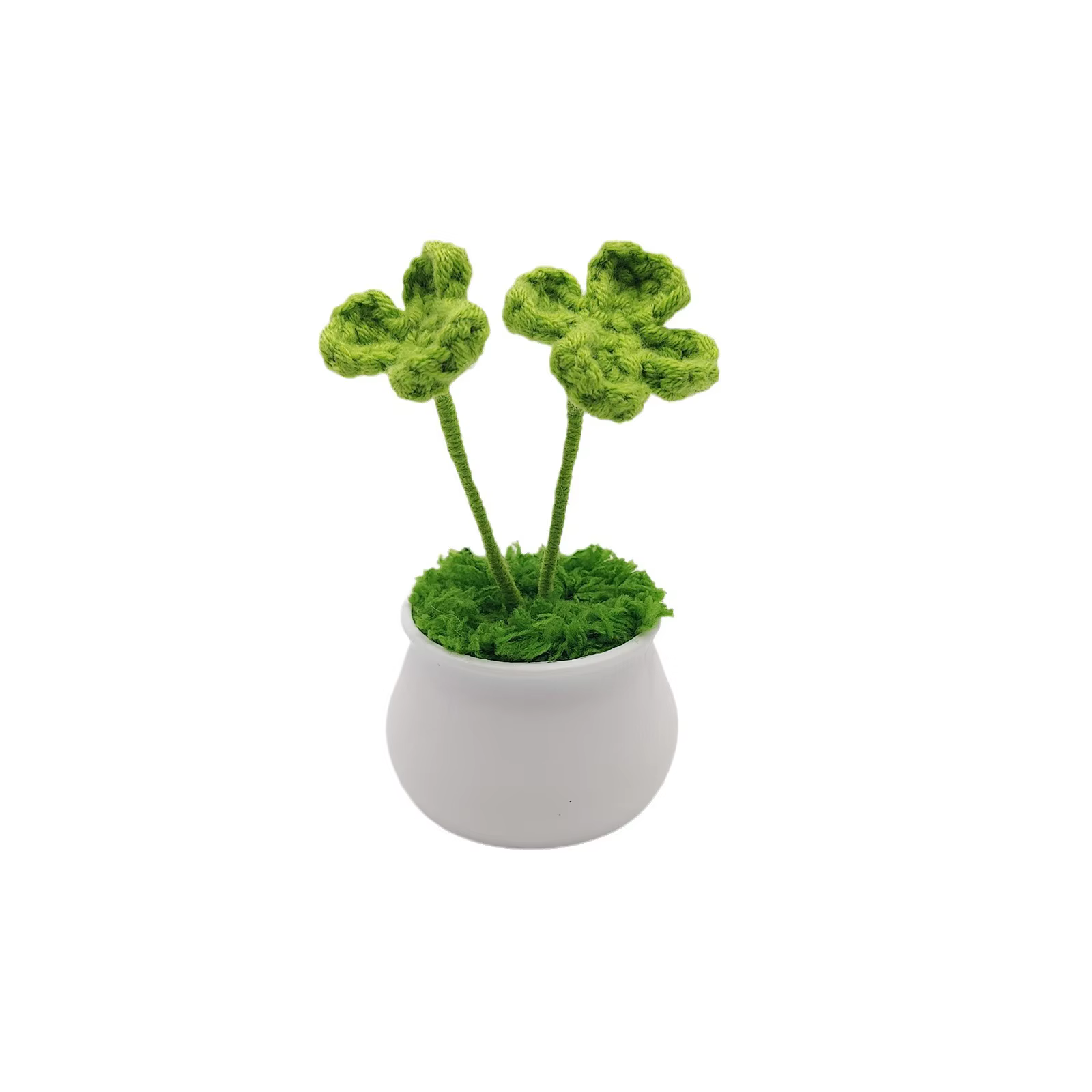 Plante en pot Everver Four scalp
