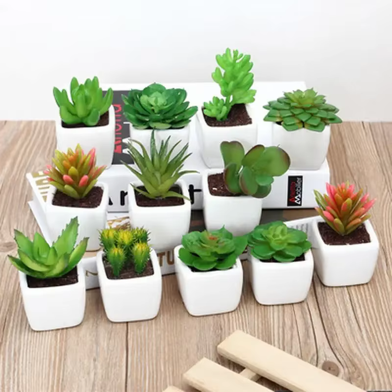 Plantes vertes succulentes artificielles