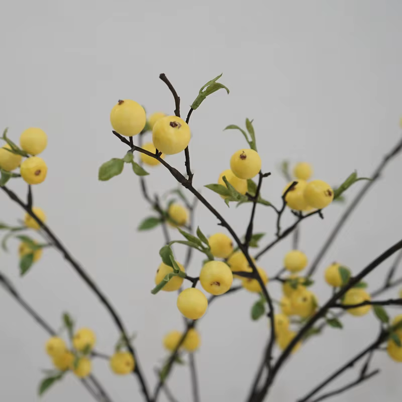 Branche de fleurs de baies pour la décoration de la maison