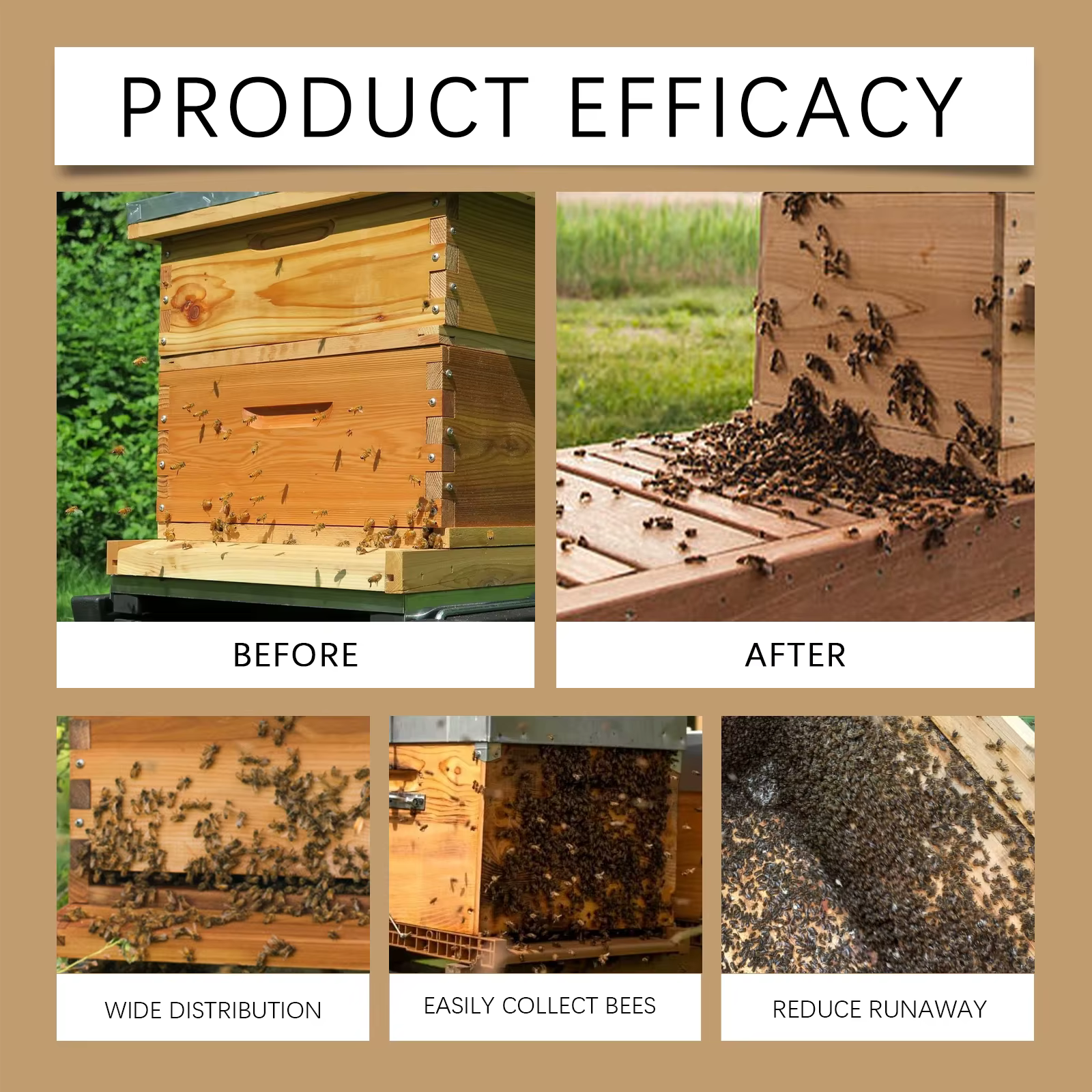 Baume attractif pour abeilles 10 ml