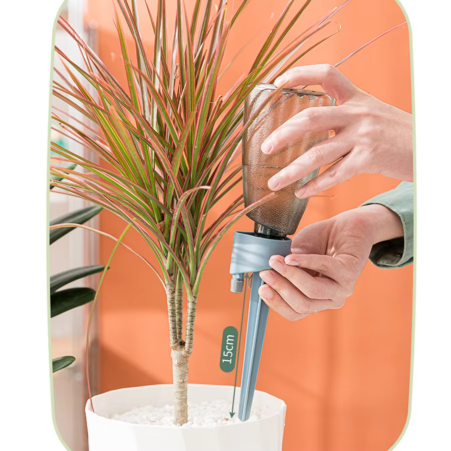 Boules d'arrosage pour plantes vertes avec bouteille