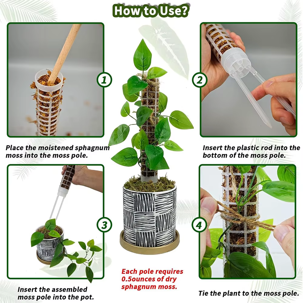 Poteau de mousse pour plantes grimpantes Monstera
