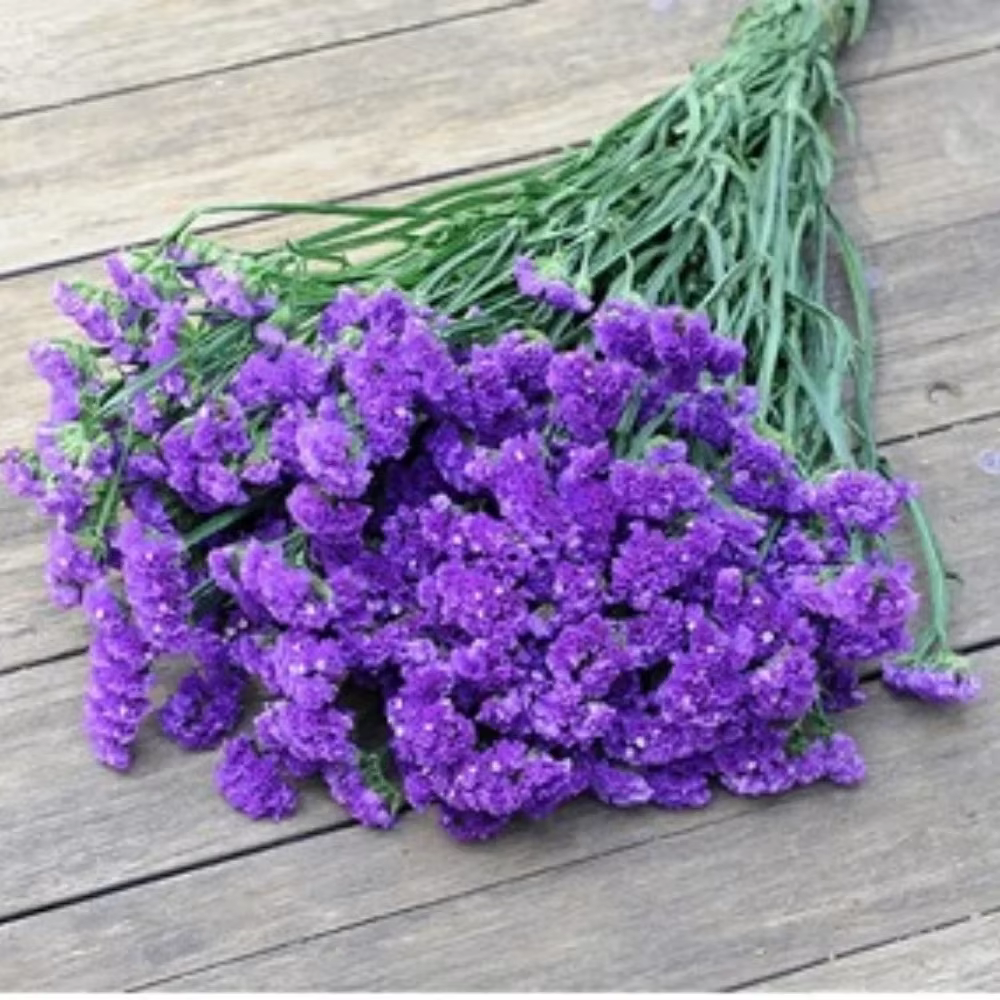Bouquet de fleurs immortel pour la décoration intérieure