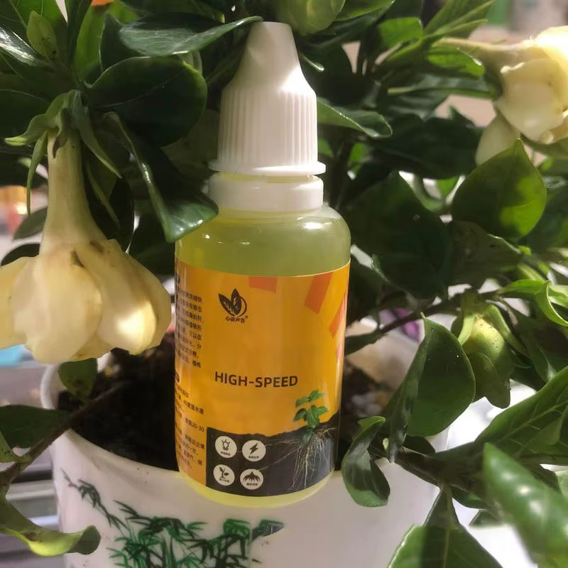 Solution nutritionnelle pour plantes