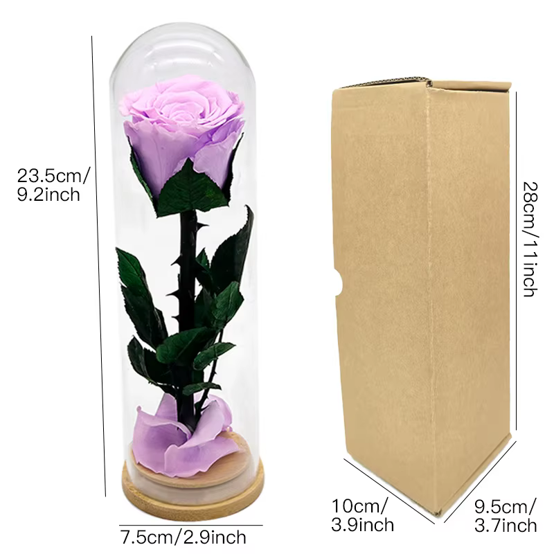 Forever Rose têtes couvercle en verre fini fleurs conservées fête des mères saint valentin anniversaire cadeaux créatifs pour copines