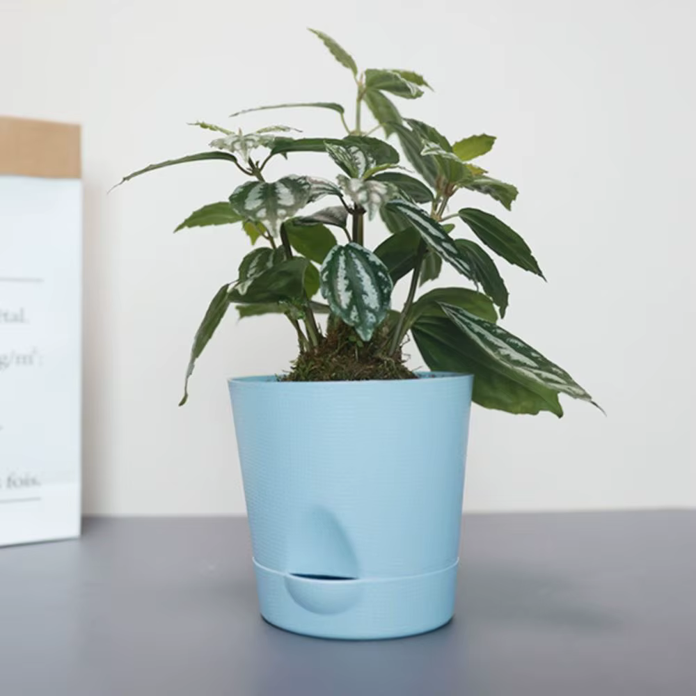 Pot de fleurs multicolore auto-arrosant en plastique