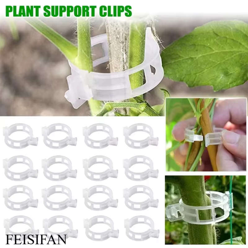 Pinces de fixation réutilisables en plastique pour plantes