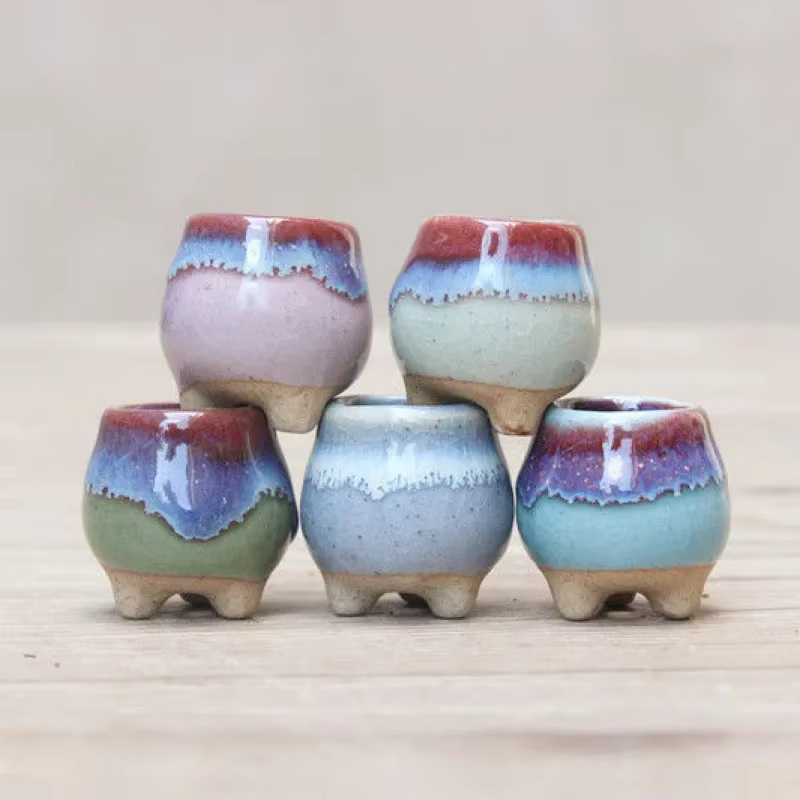 Mini Pot de Fleurs en Céramique à Pouce