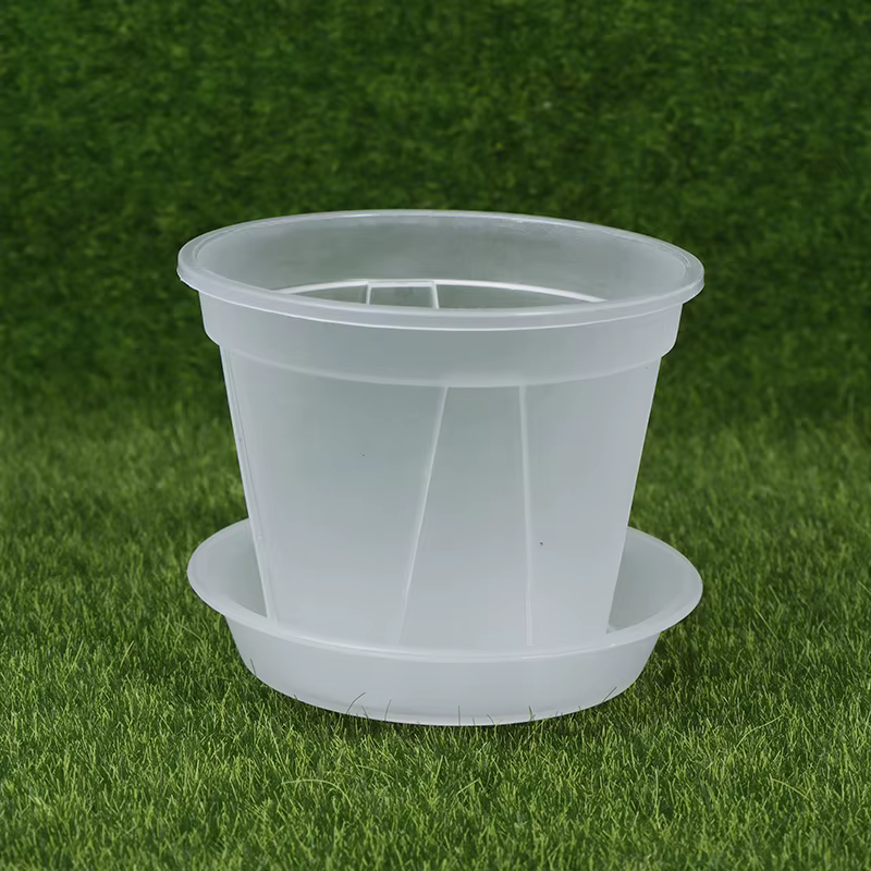 Pot de fleur transparent avec escalier