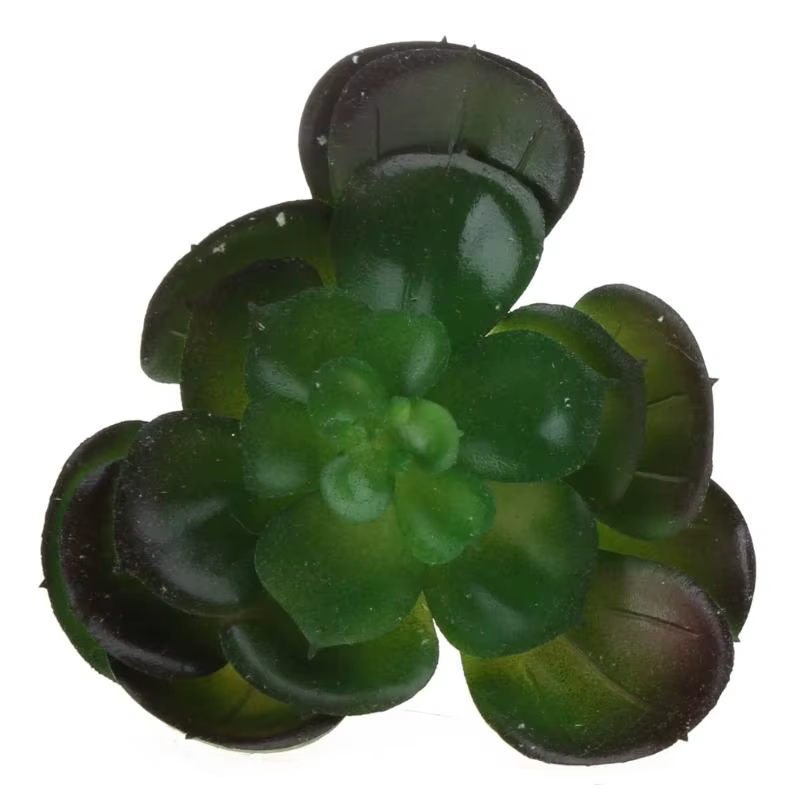 G6KF 16PCS Assorti des plantes succulentes artificielles.