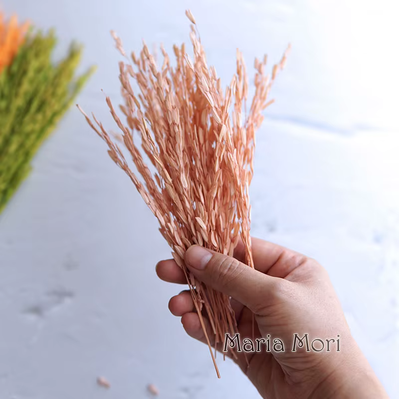 Fleurs naturelles séchées teintes en maïs