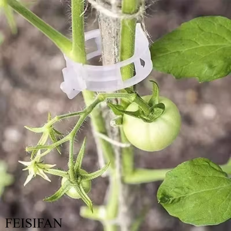 Pinces de fixation réutilisables en plastique pour plantes