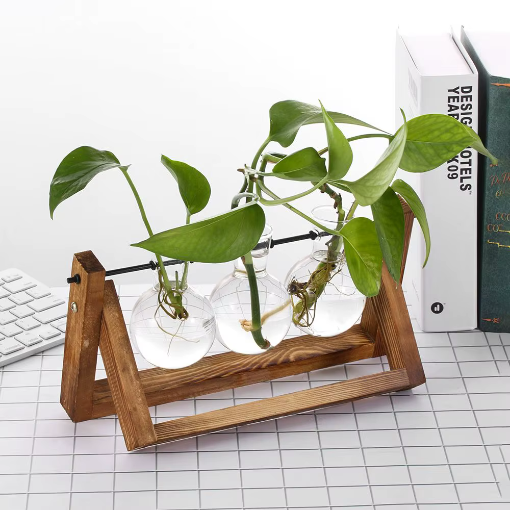 Vases de plantes hydroponiques