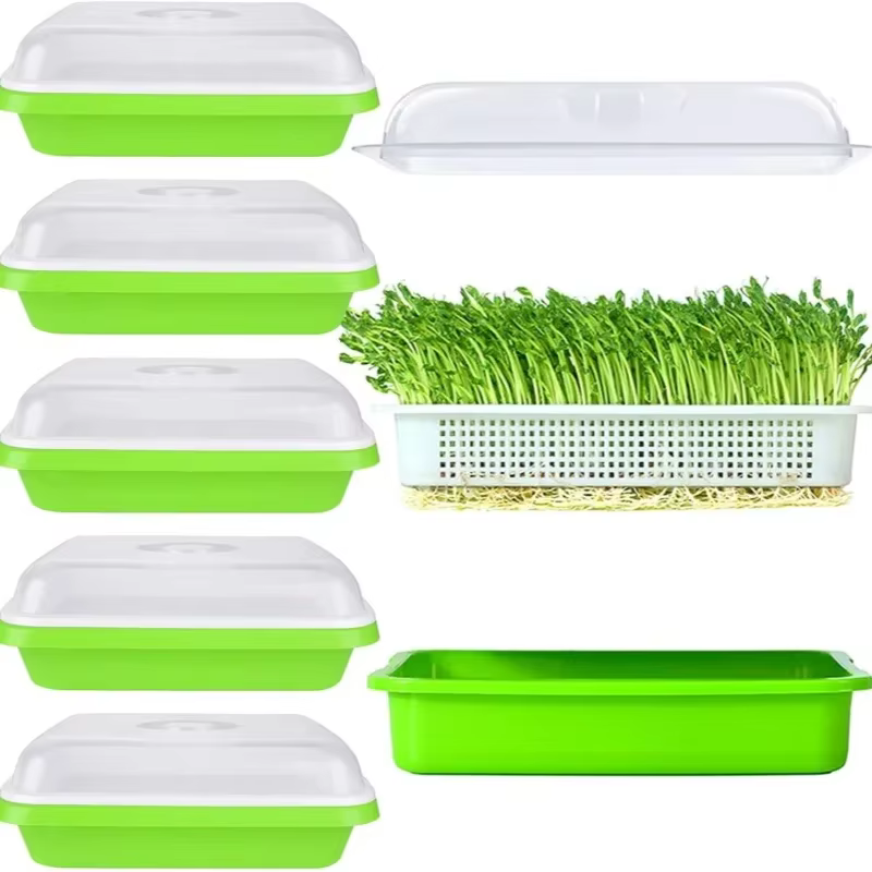 Plaque de germination hydroponique sans sol avec couvercle