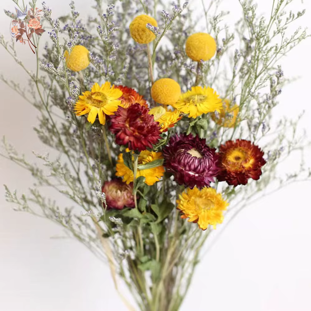 Bouquet de fleurs séchées