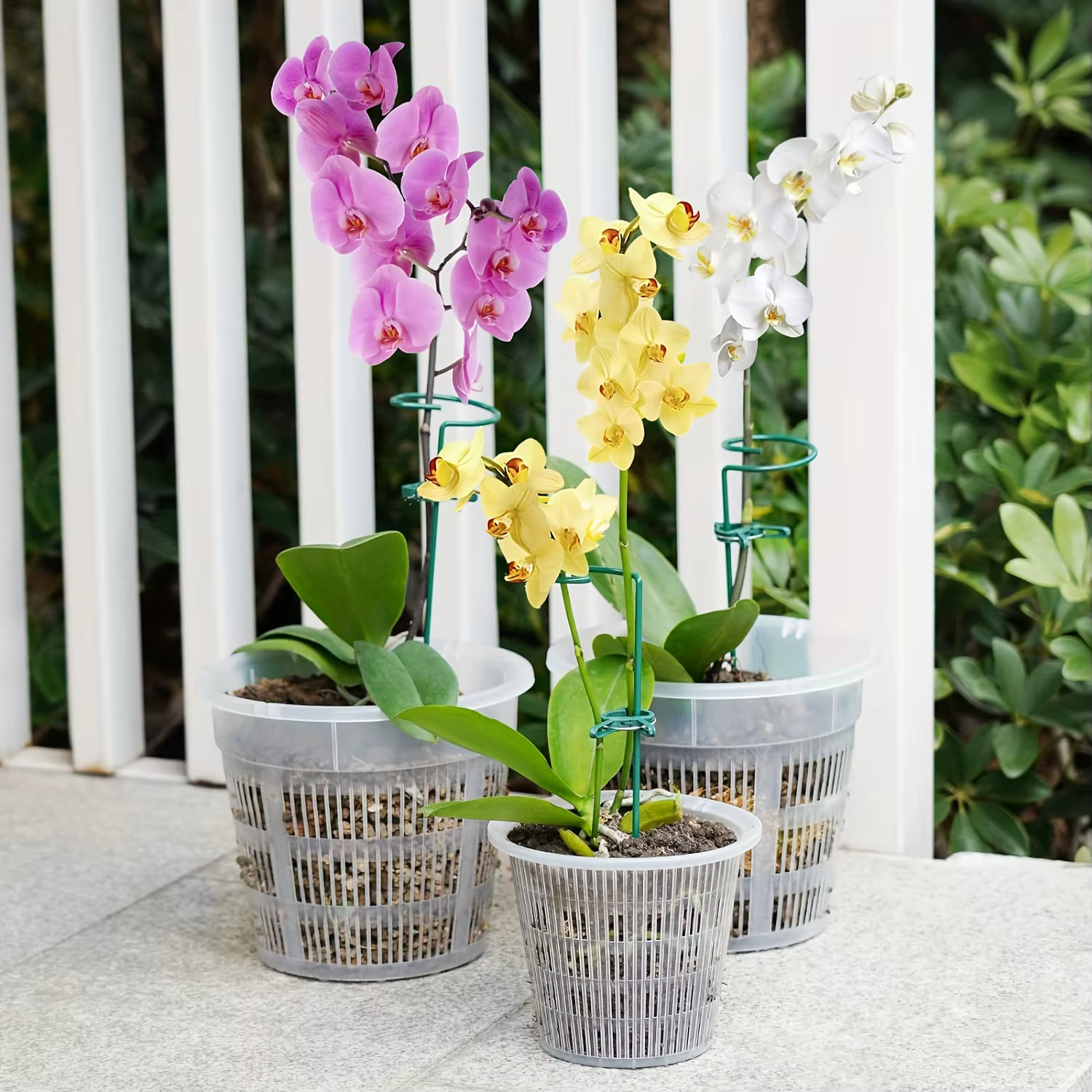 Lot de 6 pots à orchidées transparents avec trous de drainage