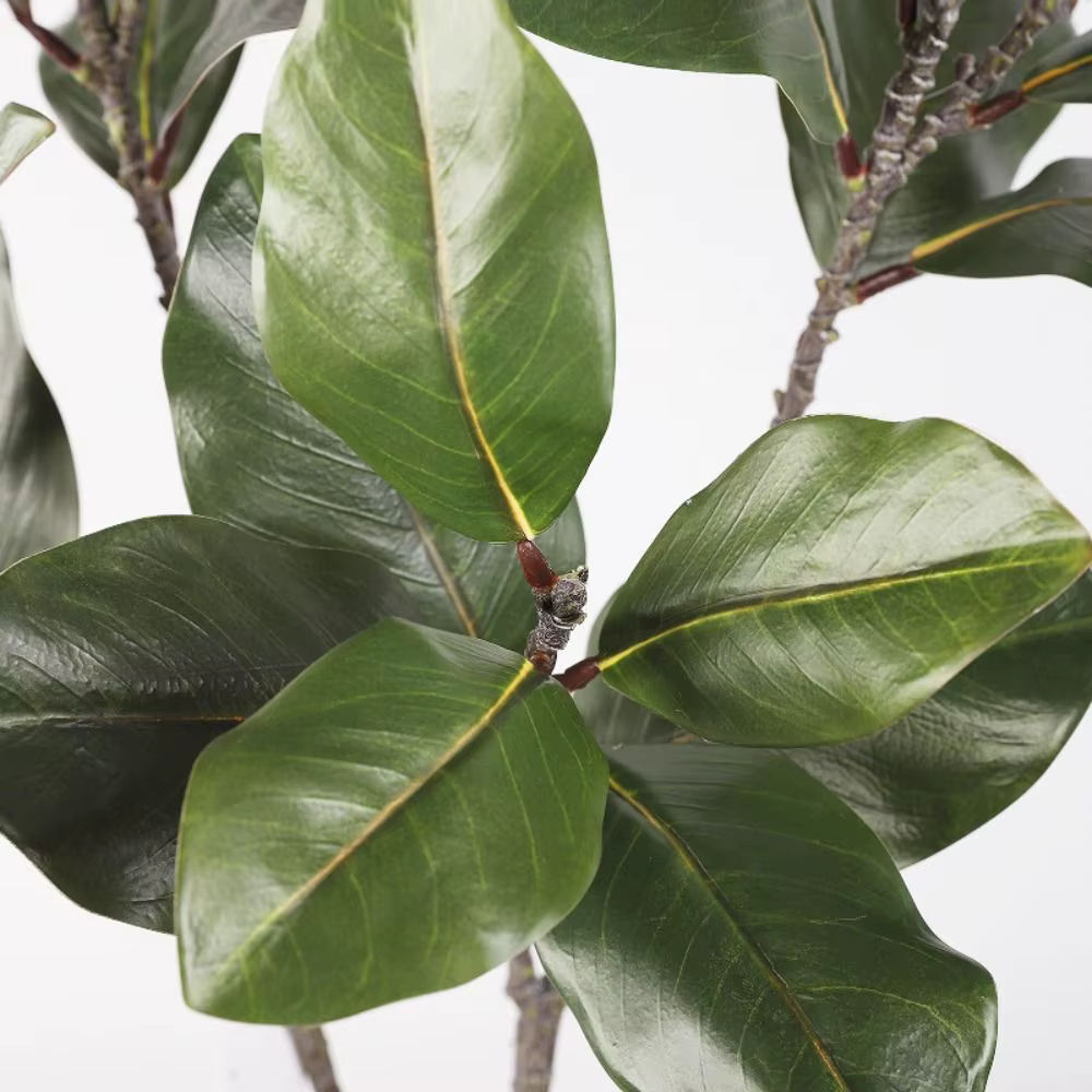 Grande plante artificielle de magnolia