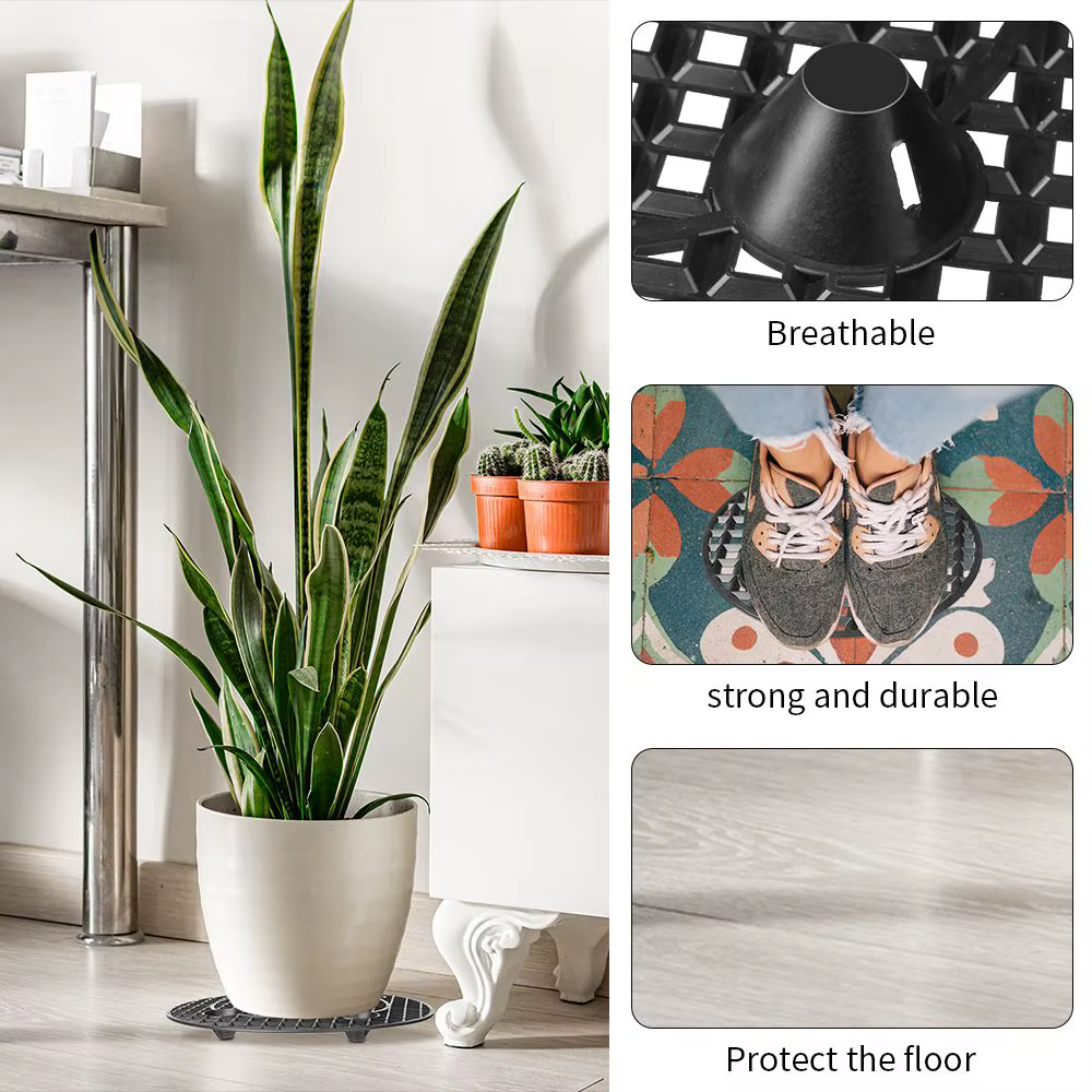 Socle de protection pour plantes