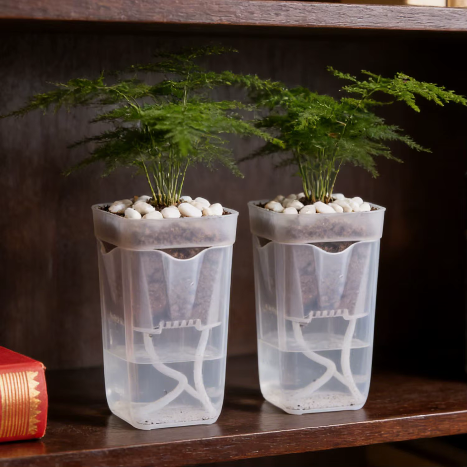 Petits pots auto-arrosants pour plantes d'intérieur