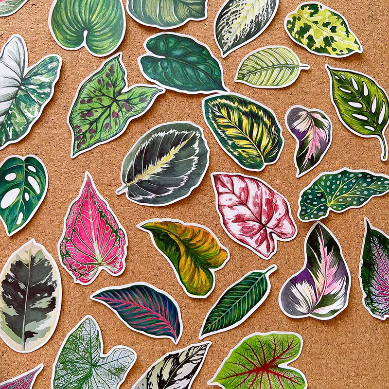 50 autocollants mignons en forme de feuilles de plantes pour carnet