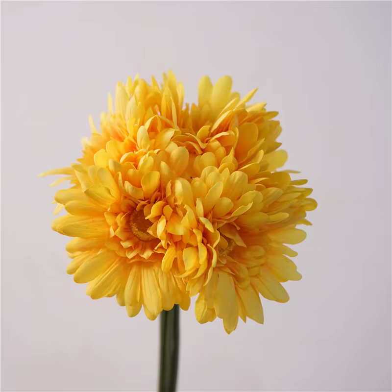 Bouquet de marguerites artificielles en Latex