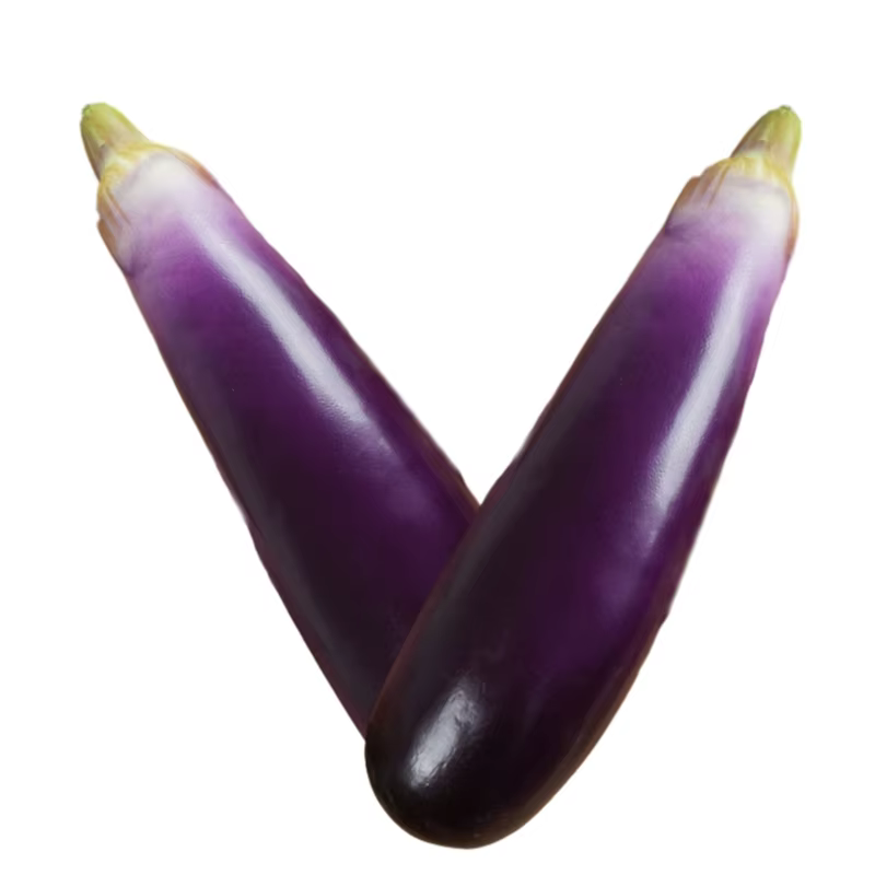 Simulation d'aubergines artificielles en mousse souple