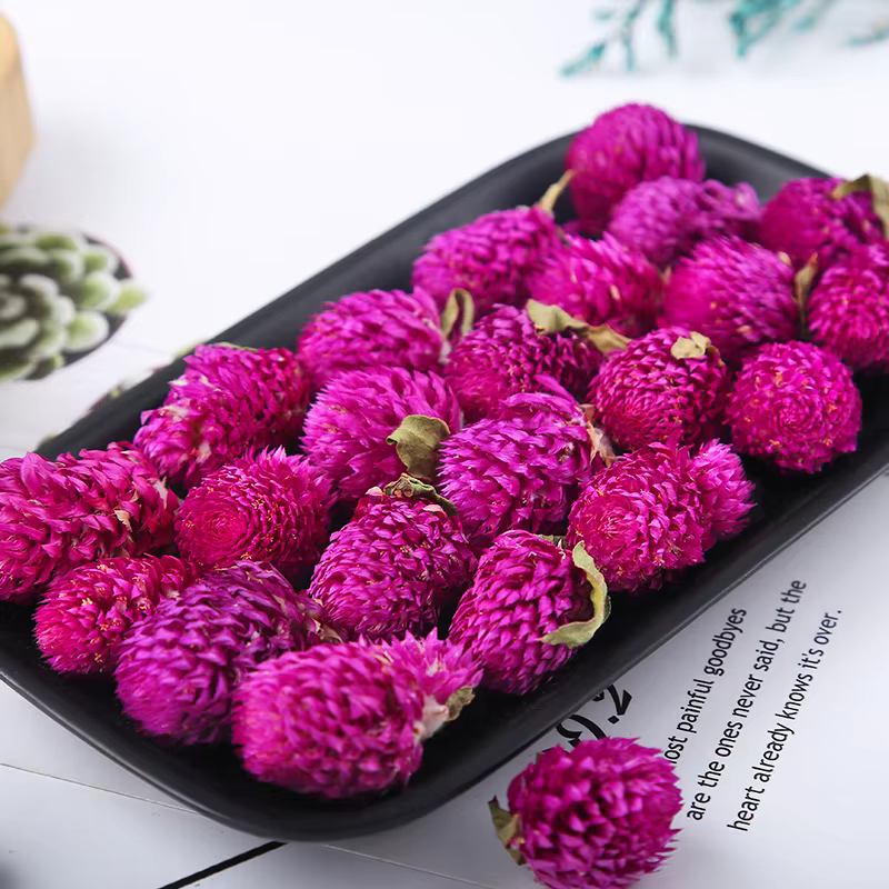 Fleurs séchées de Gomphrena naturelles rouge et violet – Décor de haute qualité pour la fabrication de savon