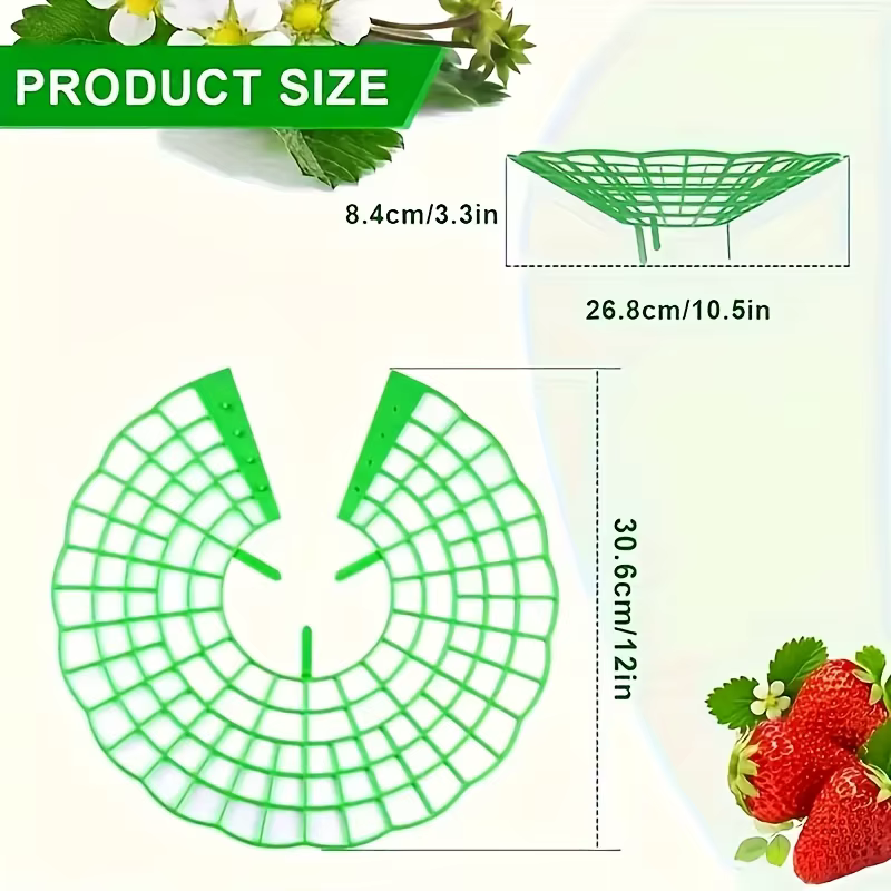 Supports de plantation de fraises vertes