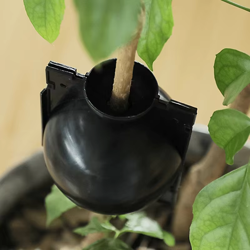 Lot de 10 Boîtes de Propagation pour Racines de Plantes – Réutilisables pour l'Enracinement