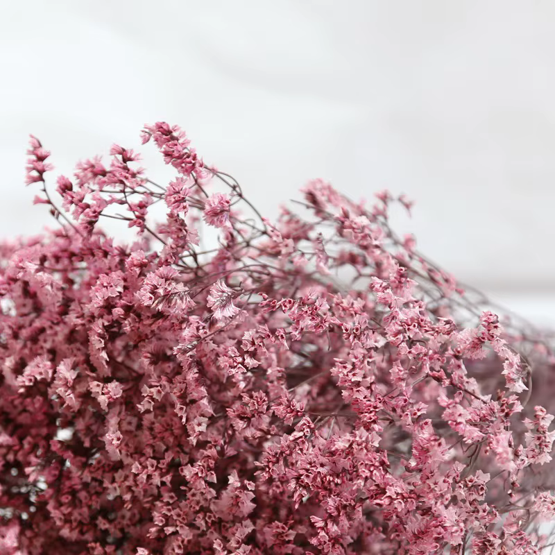 Fleurs naturelles séchées et conservées