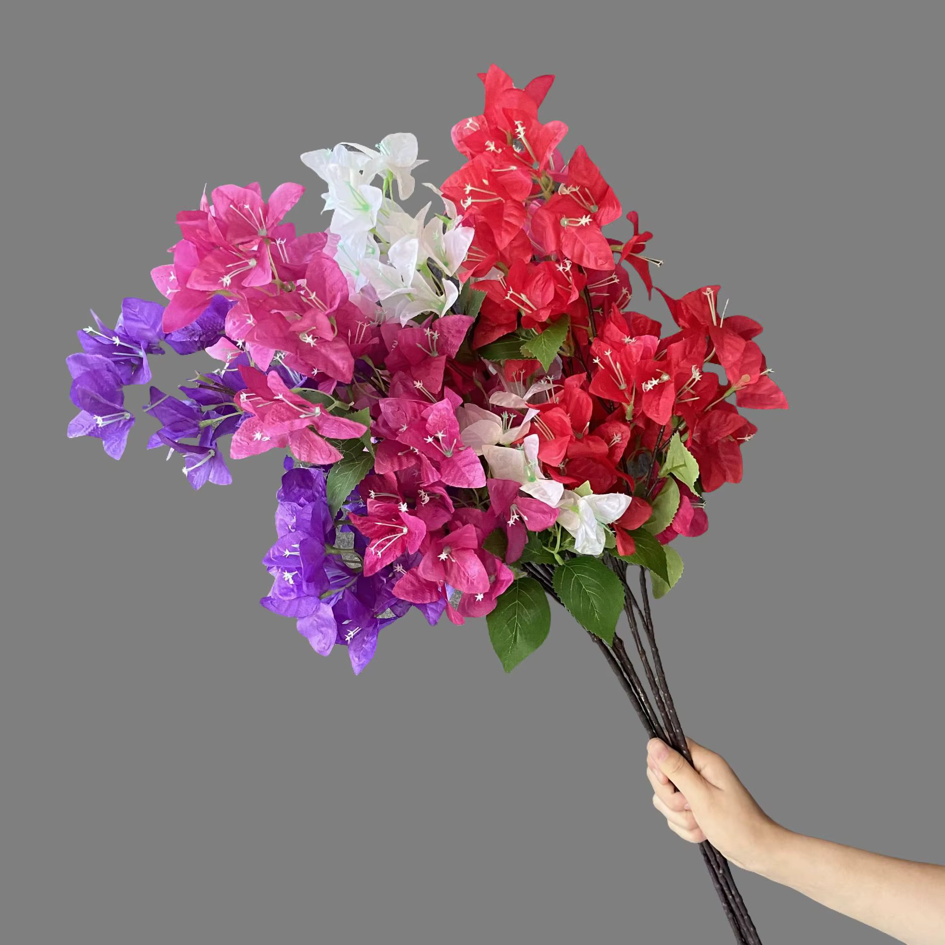 Simulation de Bouquet de bougainville