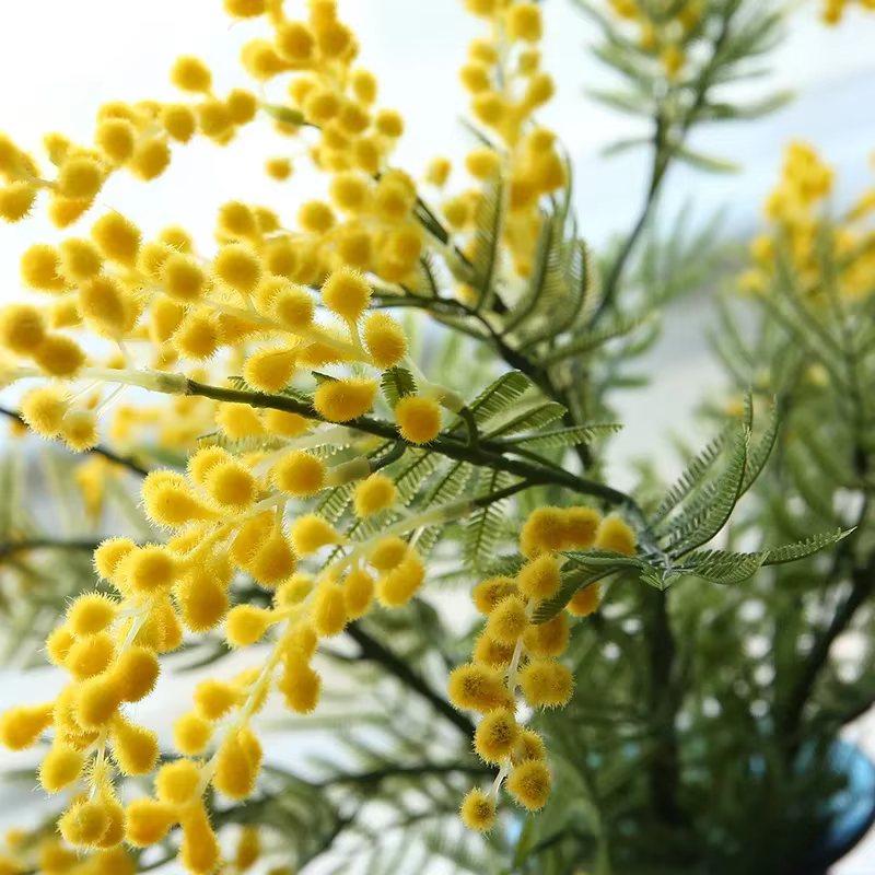 Fleur Artificielle en Plastique pour Ornements de Maison