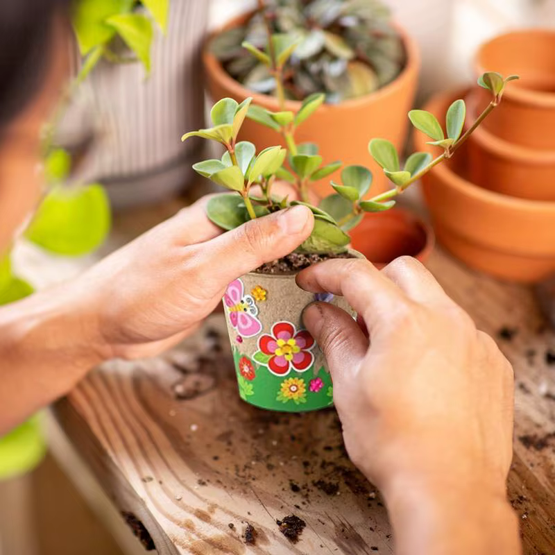 Pots de jardin artisanaux avec dôme