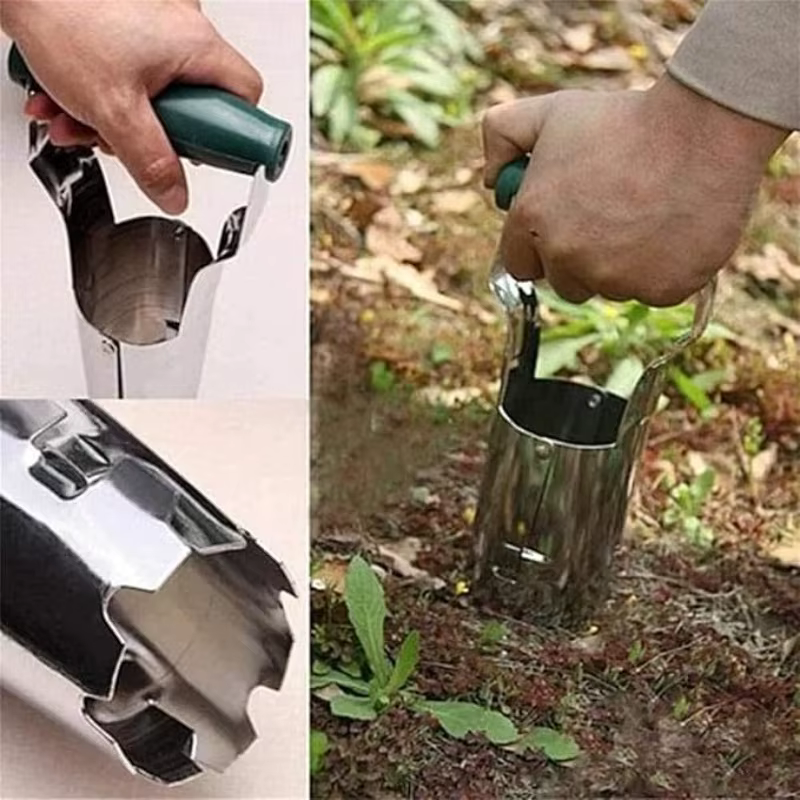 Semoir de plantation de fleurs en acier inoxydable avec manche en bois pour le jardinage