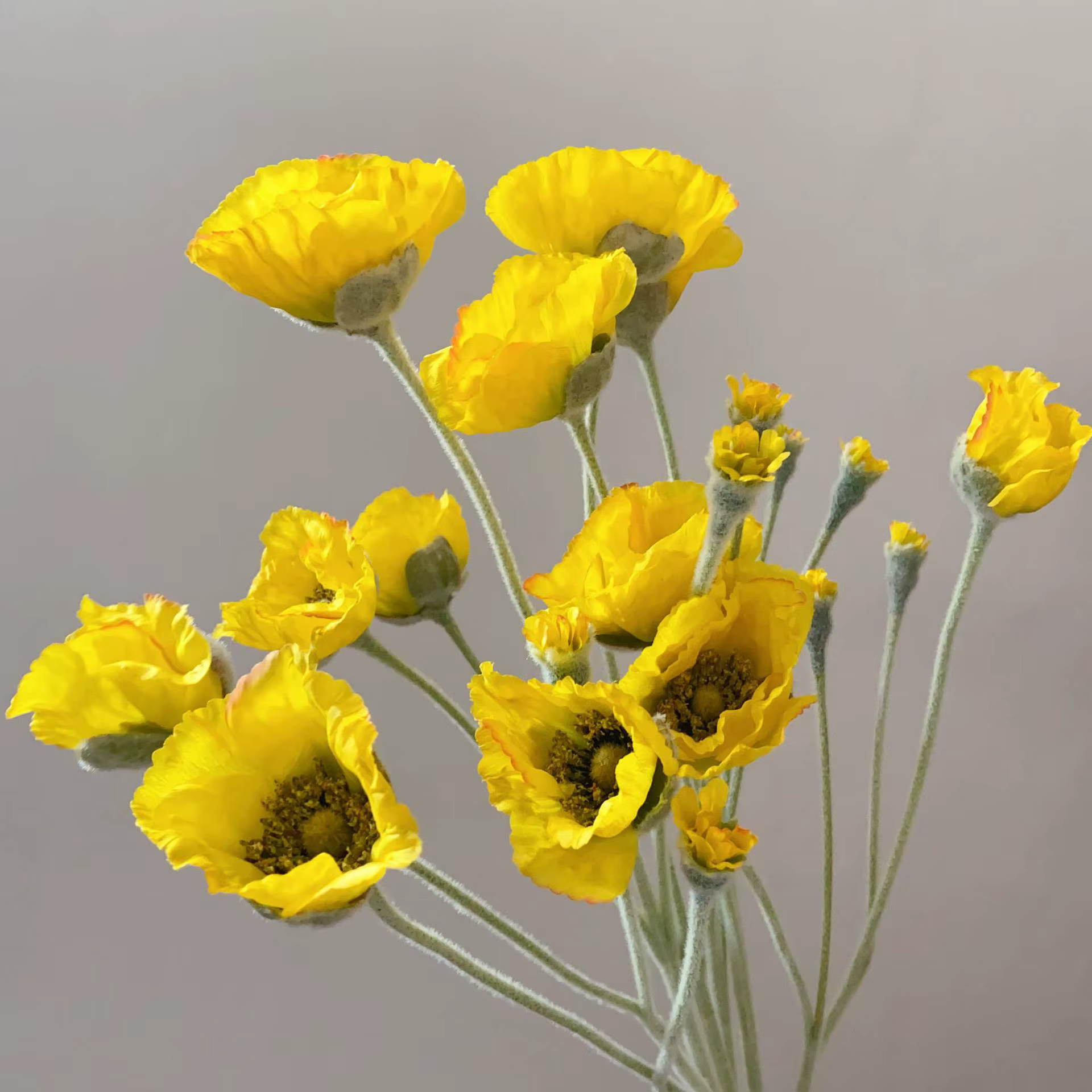 Fleurs artificielles de coquelicot