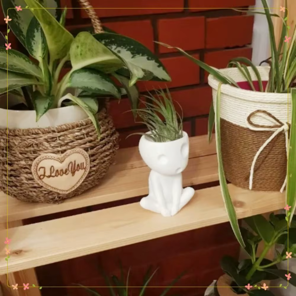 Ustensiles pour plantes hydroponiques