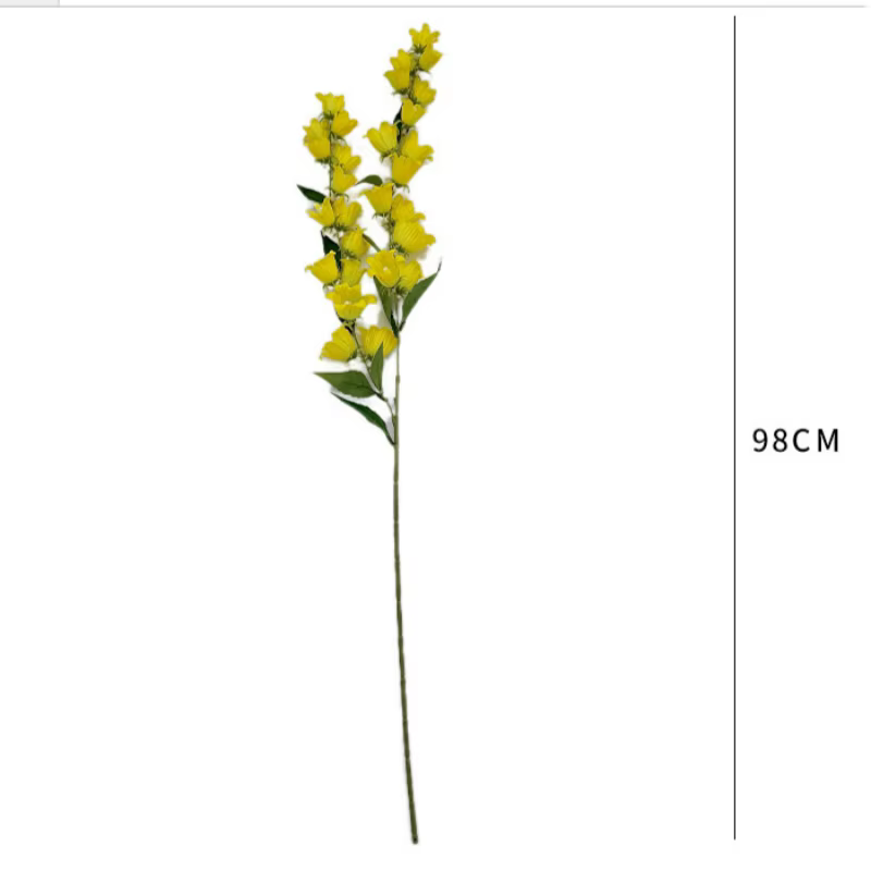 Fleurs de glycine, fleurs de muguet