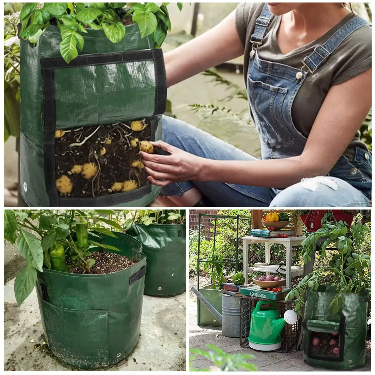 Sacs de culture de jardin 3/5/7/10 gallons, sacs de culture de pommes de terre, sacs de culture de plantes de jardinage, conteneur de jardinière de légumes et de carottes en tissu PE