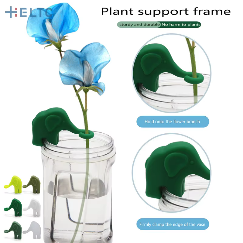 Éléphant plante Propagation copain