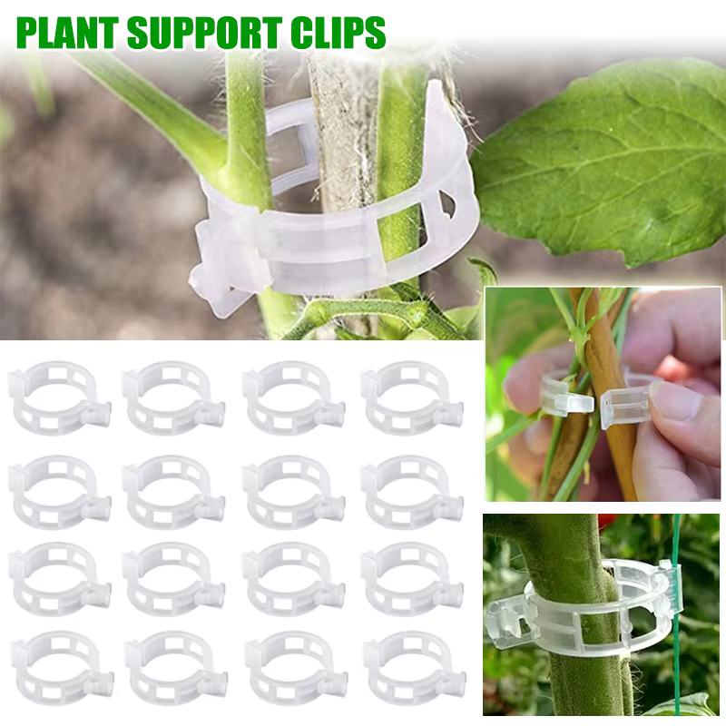 Supports de Clips pour plantes