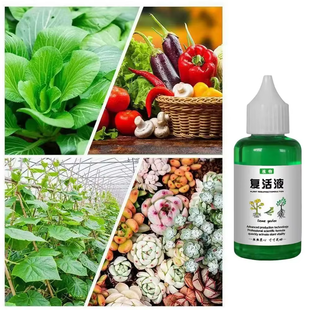 Liquide de résurrection revitalisant pour plantes 50ml concentré