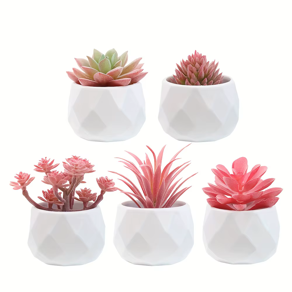 5 mini-plantes succulentes artificielles réalistes avec pot