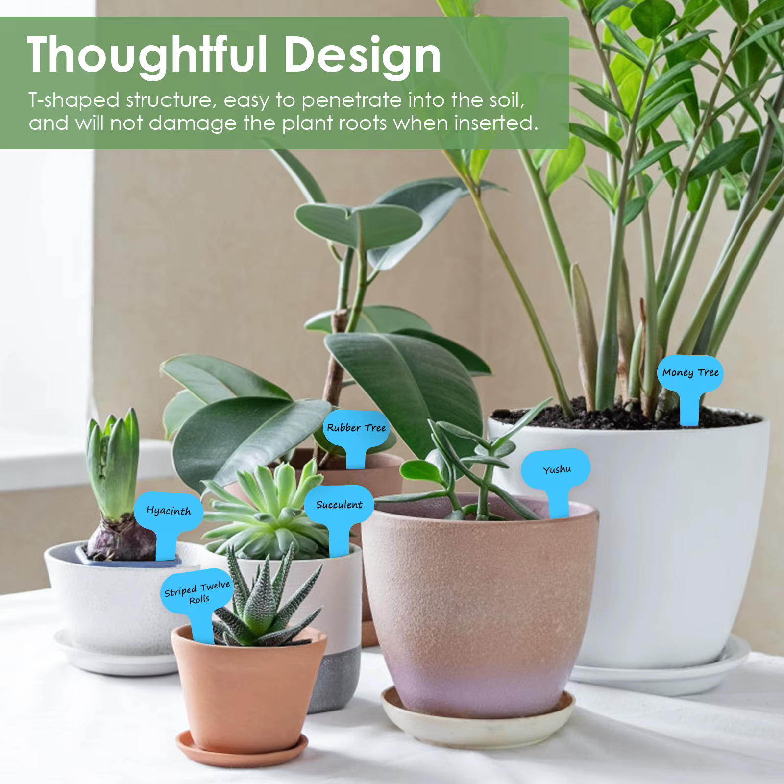Étiquettes de plantes de jardin en plastique