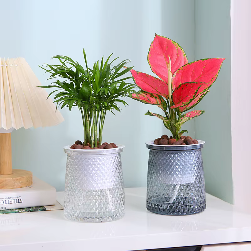 Pot de fleurs auto-arrosage pour plantes hydroponiques succulentes d'intérieur
