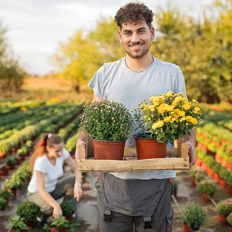 Pot de fleurs spécial pour semis de plantes succulentes