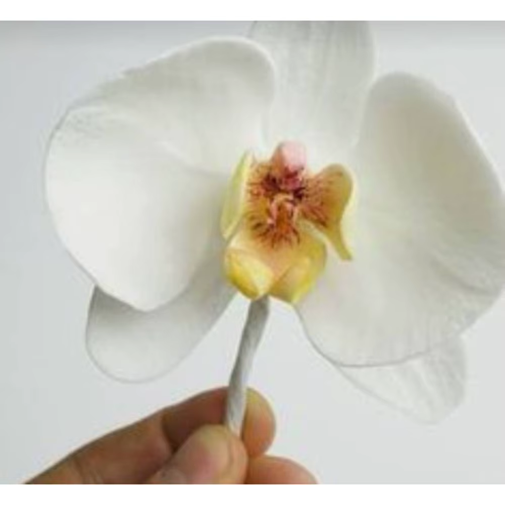 Matrices découpées en métal fleur d'orchidée