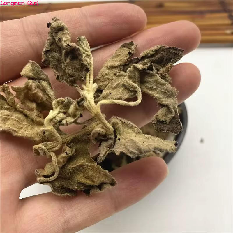 Feuilles de patchouli séchées naturelles de qualité supérieure