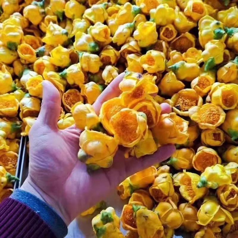 Fleurs dorées sèches naturelles-pour la décoration de la maison