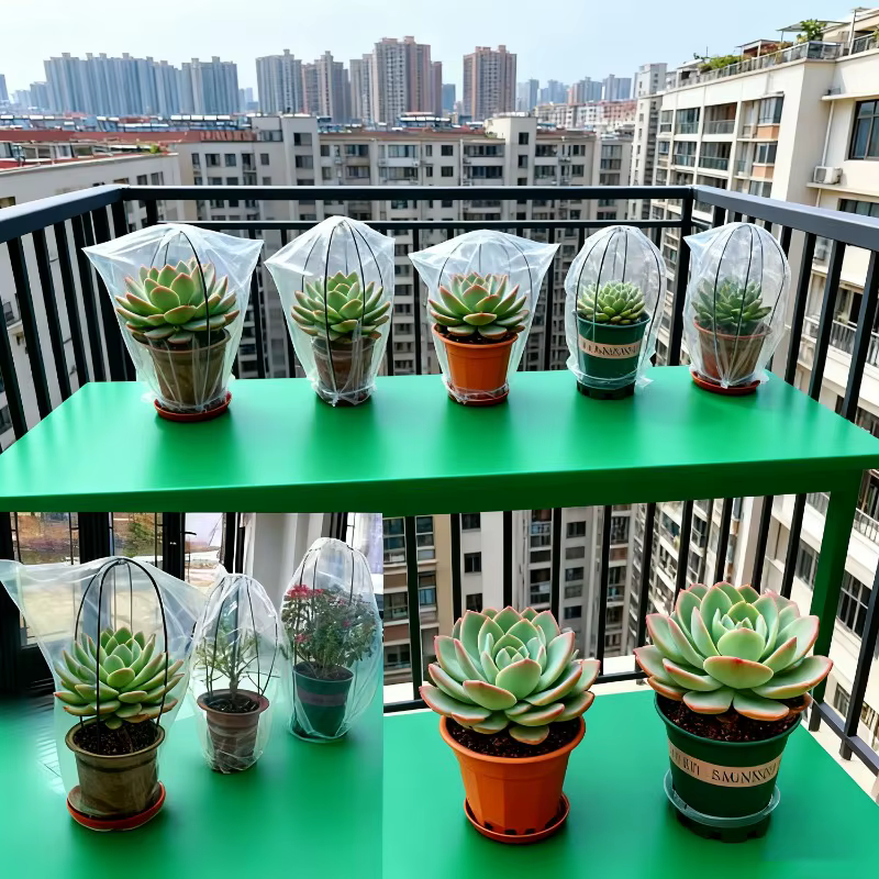Couvertures de plantes d'hiver