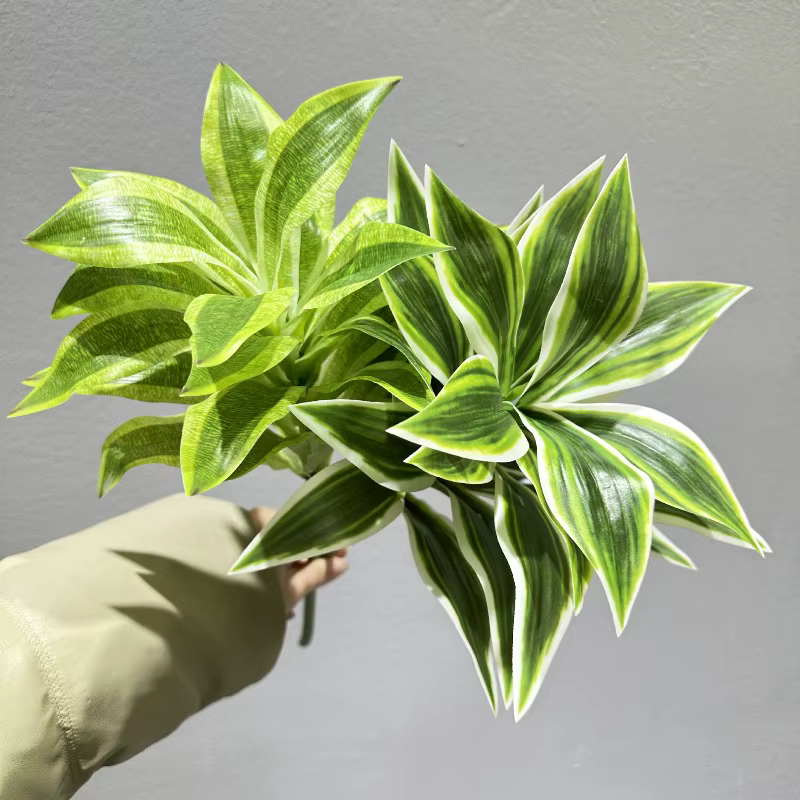 Simulation de plantes en plastique Dracaena